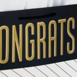 Hallmark 13" Assorted Grad Designs 3-Pack Large Gift Bags With Tissue Paper -Hallmark Shop Assorted Grad Designs 3Pack Large Gift Bags With Tissue Paper 5GBC1015 05