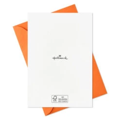 Hallmark Boo To You Boxed Halloween Cards Assortment, Pack Of 36 -Hallmark Shop Boo to You Boxed Halloween Cards Assortment 5ELT1011 08