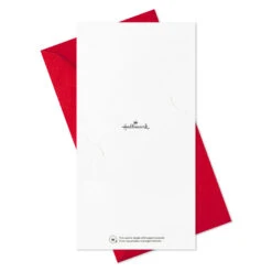 Hallmark Colorful And Casual Money-Holder Boxed Christmas Cards Assortment, Pack Of 36 -Hallmark Shop Festive Assorted MoneyHolder Boxed Christmas Cards 5CZE2139 08